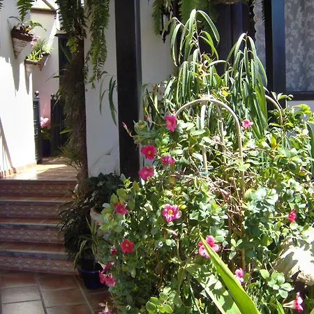 Guenstiges An Der Strasse Апартаменты