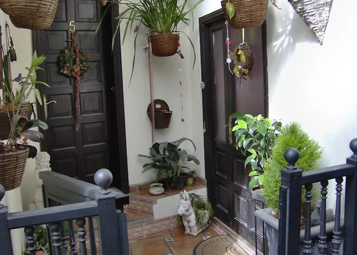 Günstiges An Der Straße * Icod De Los Vinos