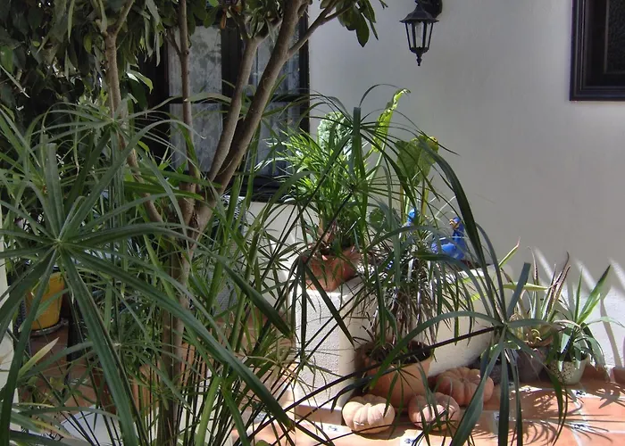 Günstiges An Der Straße *