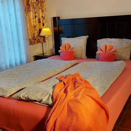 Günstiges An Der Straße Icod De Los Vinos